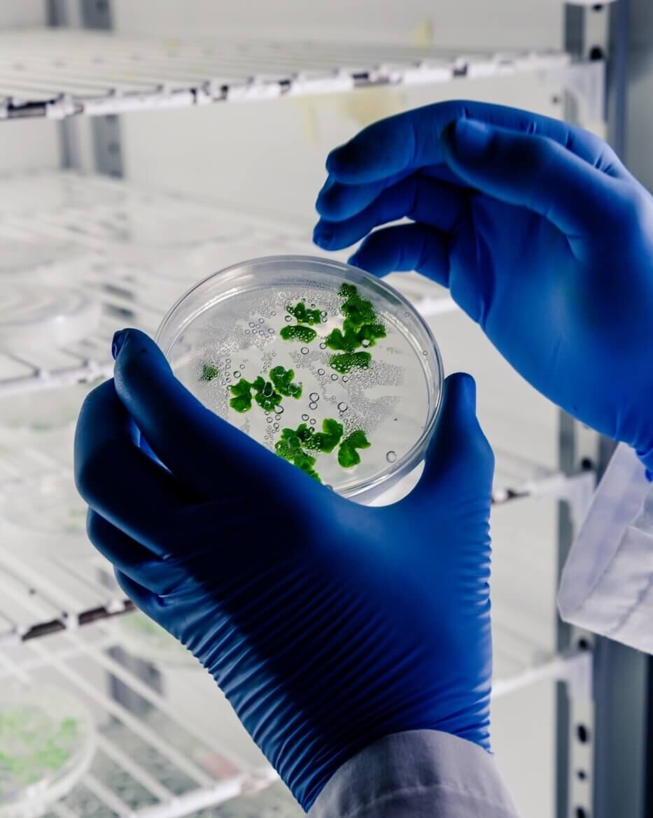 Overleg actieplan 2026-2027 Biotechnologische richtingen